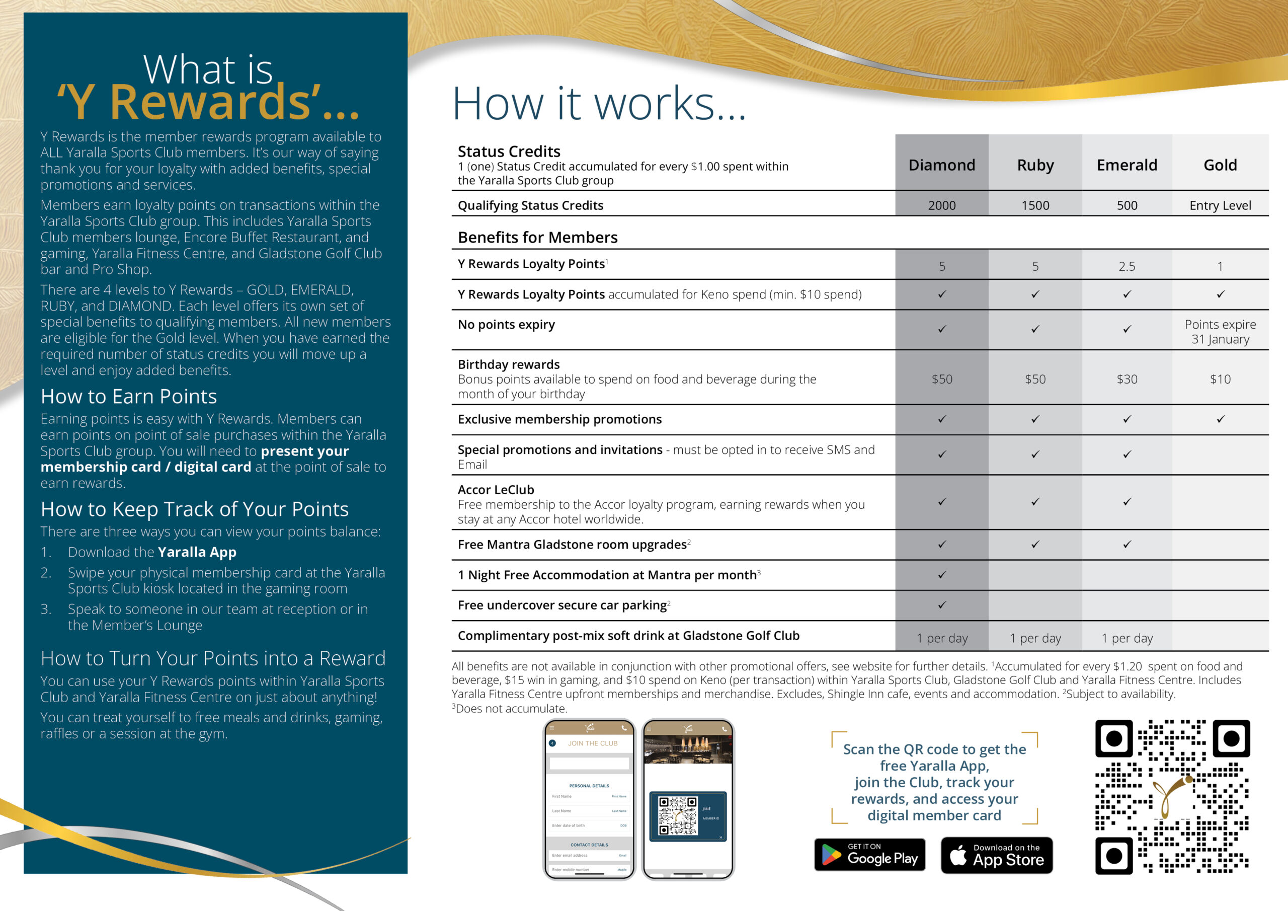 Y Rewards brochure